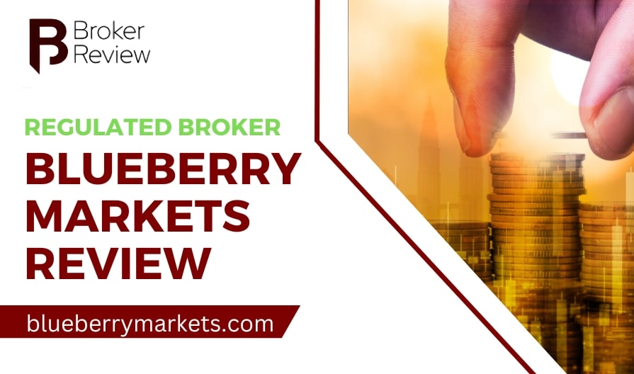 Blueberry Markets Review